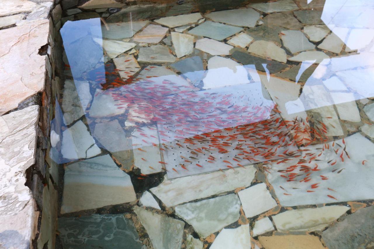 The Mudan Otel Checheng Dış mekan fotoğraf